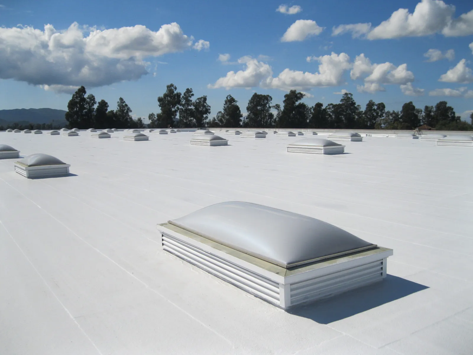White TPO single-ply membrane roof on a commercial building