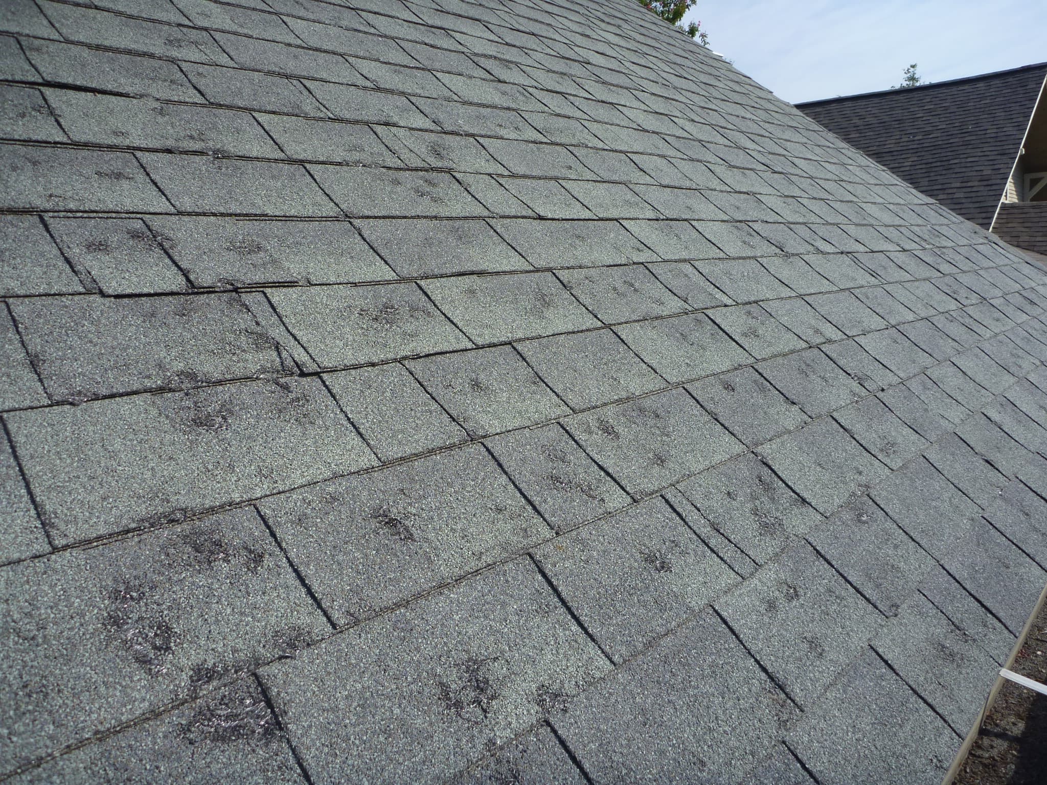 Hail damage on a shingle roof documented during a Southeast Roofing inspection in Purvis, Mississippi.