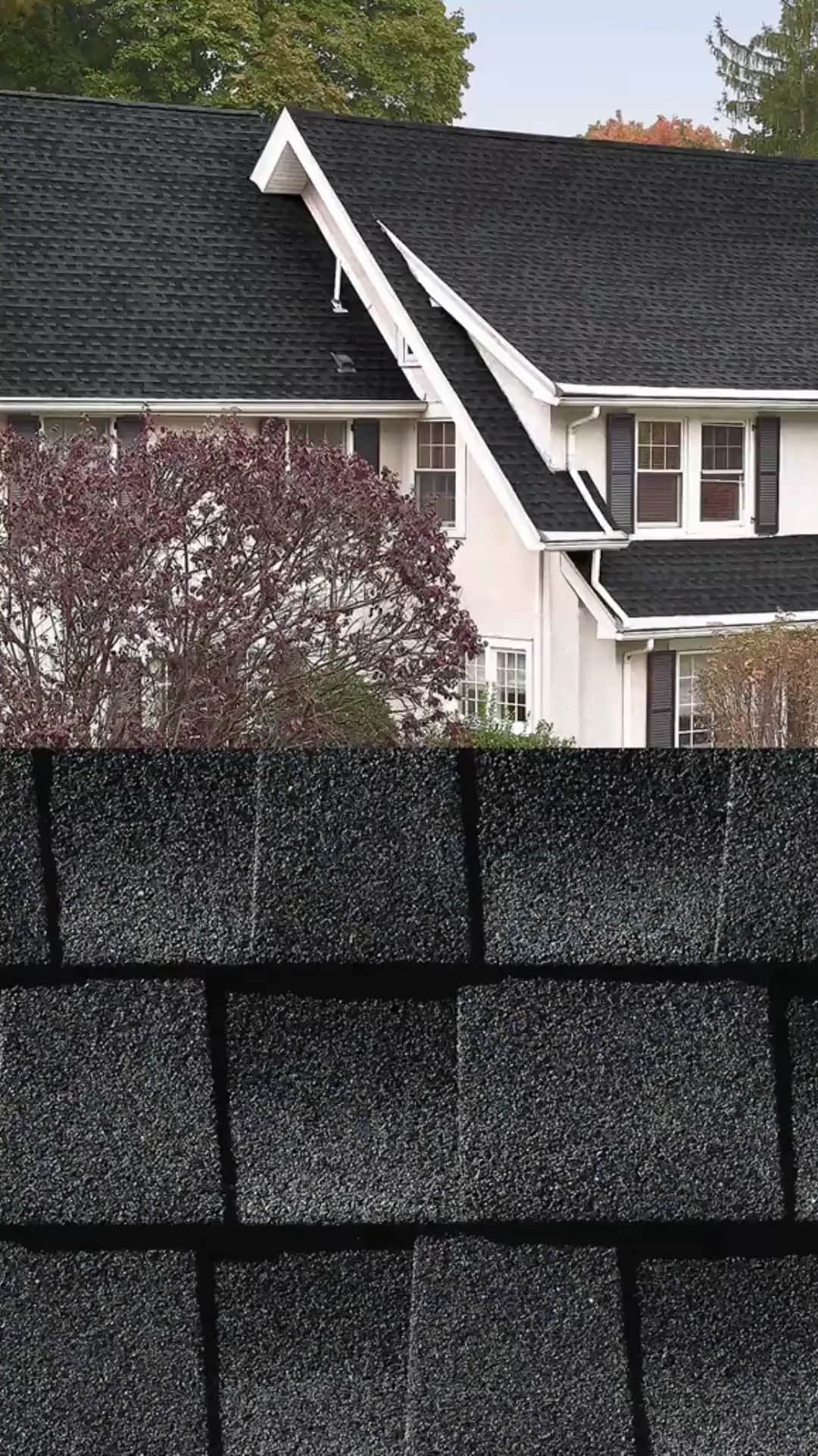 Architectural asphalt shingle roofs in a range of colours, shown on homes above and as close-up swatches below