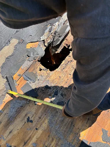 Rotted decking discovered after tear-off documented during a Southeast Roofing inspection in Hattiesburg, Mississippi.